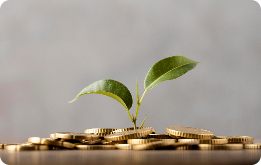 سرمایه گذاری